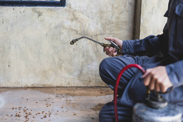Best Exterminator Services  in Aurora, CO